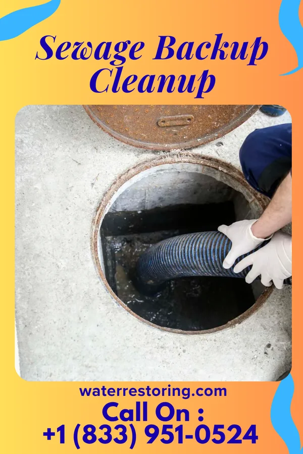 Sewage Backup Cleanup in Paxton, NE